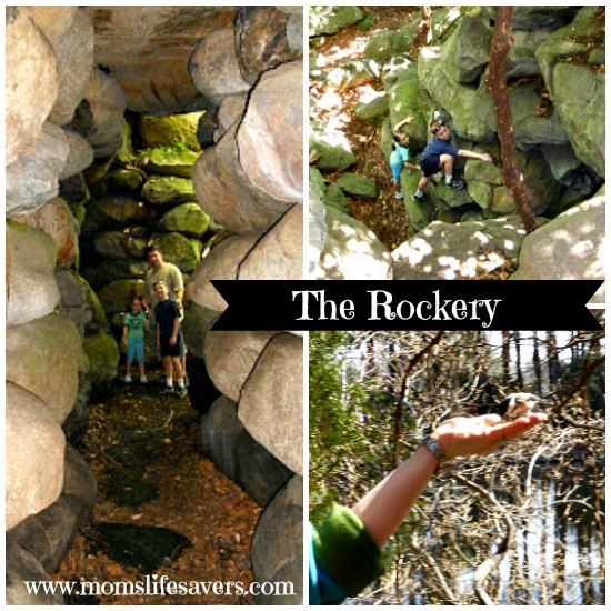 Rockery-Collage