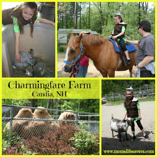 Day Trip Charmingfare Farm Candia, NH Mom's Lifesavers