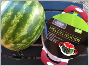 watermelon-slicer image