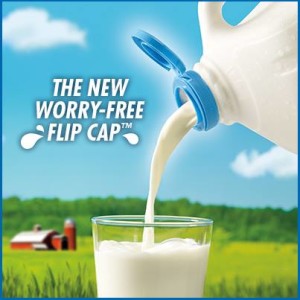Diary Pure Flip Cap