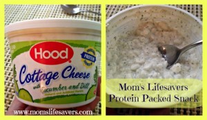 Hood cottage cheese review - Momslifesavers
