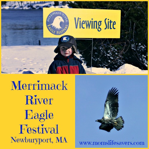 Merrimack River Eagle Festival Moms Lifesavers