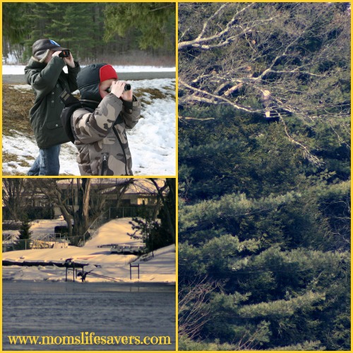 Merrimack River Eagle Festival Moms Lifesavers