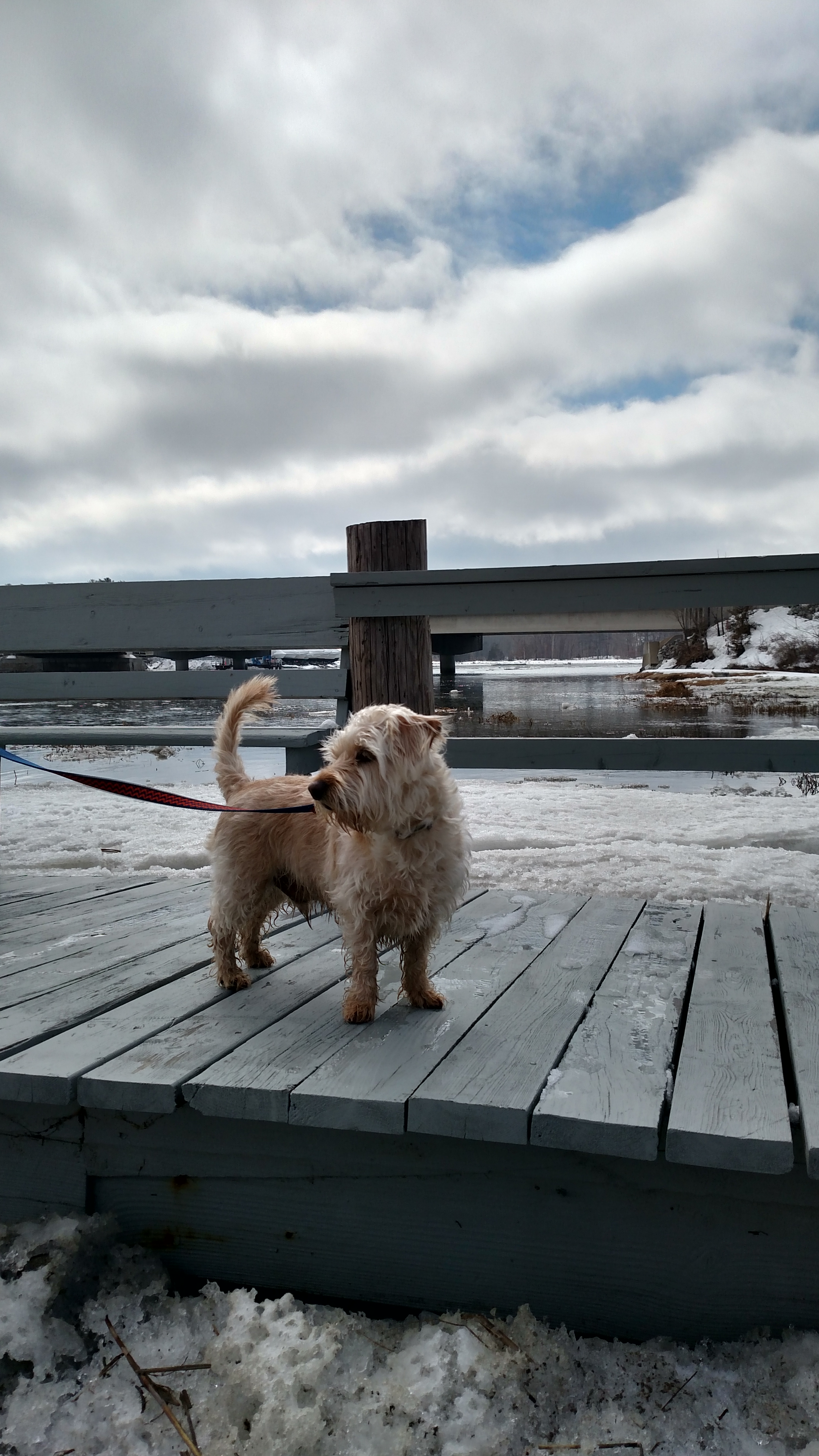 The Verizon Droid Turbo Camera is Awesome 