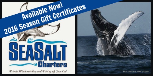 Gifts They Really Want www.SeaSaltCharters.com