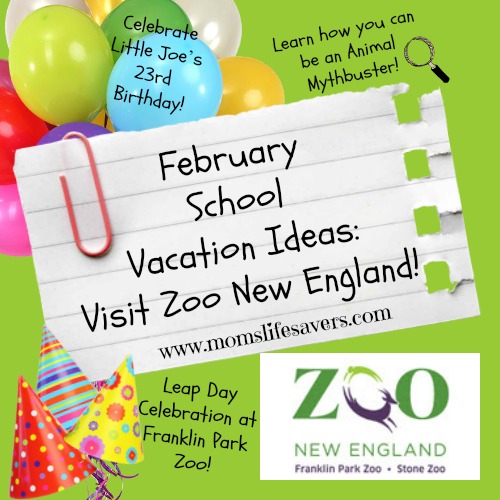 Zoo New England February Events Mom's Lifesavers