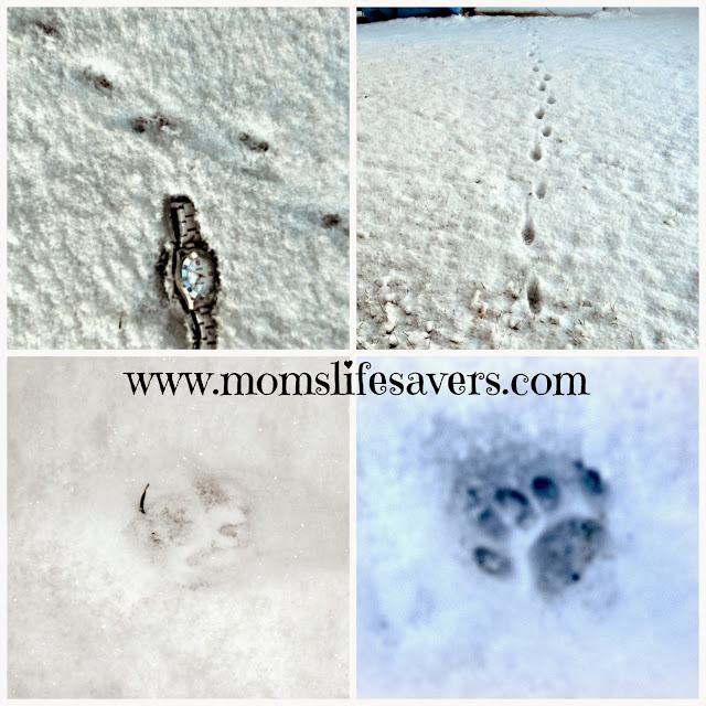 Footprints in the snow 