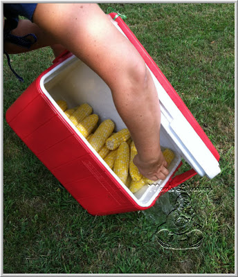 Cooler Corn - Yes! We Tried It.